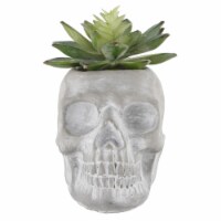 Flora Bunda CS2332E-GY 5X3.2 Succ in Cement Sugar Skull, GREY, E PACK