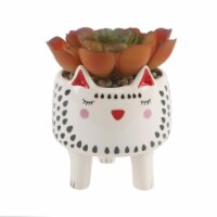 Flora Bunda CS2634E-WH Faux Succulent in 4.75' Small White Cat Ceramic Planter