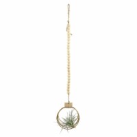 Flora Bunda CS6227E-NAT Succ in Wood Hanging planter