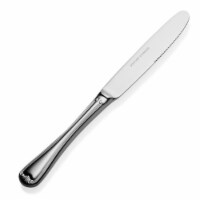 Bon Chef S909 Regular Renoir Hollow Handle Dinner Knife, Pack of 12