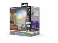 Monster LED 60-watts Smart Illuminessence RGBW Light Bulb Perspective: Main