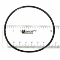 Waterway Plastics WW8050151B O-Ring Auto Diverter