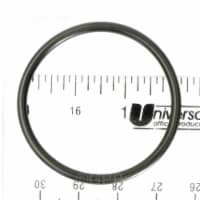 Waterway Plastics 805-0127SD O-Ring Air Injector