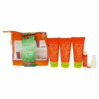 California Mango Mango to Go Travel Kit  Normal to Dry Skin 2.2oz Exfoliating Scrub, 2.2oz Cl