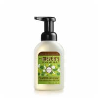Mrs. Meyer's Clean Day Apple Scent Foaming Hand Soap