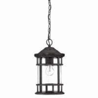 HomeRoots 397975 15.25 x 8.75 x 8.75 in. Vista II 1-Light Black Coral Hanging Light