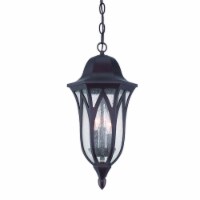 HomeRoots 397988 19.5 x 9 x 9 in. Milano 3-Light Architectural Bronze Hanging Light
