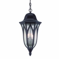 HomeRoots 397989 19.5 x 9 x 9 in. Milano 3-Light Oil-Rubbed Bronze Hanging Light