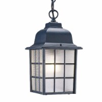 HomeRoots 398010 11 x 6 x 6 in. Nautica 1-Light Matte Black Hanging Light