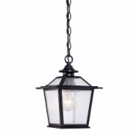 HomeRoots 398031 11.75 x 8 x 8 in. Salem 1-Light Matte Black Hanging Light