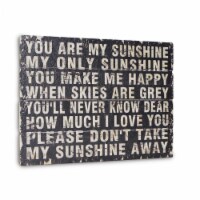 HomeRoots 399603 1.75 x 27.5 x 19.5 in. Black Wooden You are My Sunshine Wall Art