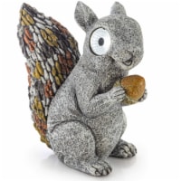 Nutty Squirrel