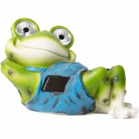 Chillaxing Frog