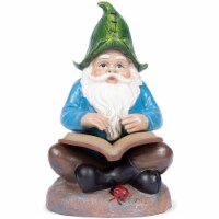 VP Home Scholarly Gnome Solar Powered LED Outdoor Decor Garden Light
