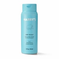 Harry's Men's Dry Scalp 2-in-1 Shampoo and Conditioner Perspective: Main