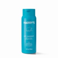 Harry's Men's Anti-Dandruff 2 in 1 Shampoo & Conditioner