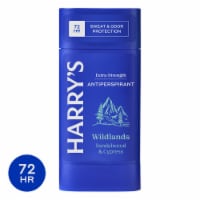 Harry's Wildlands Extra-Strength Men's Antiperspirant Deodorant Stick Perspective: Main