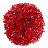 Cupcakes Seasonal Bouquet