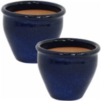 Sunnydaze 9 in Chalet Glazed Ceramic Planter - Imperial Blue - Set of 2