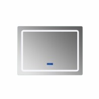Caldona 48" Wide x 36" Tall LED Mirror w/ Defogger