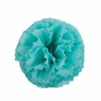 Aqua Blue Tissue Paper Squares, Bulk 24 Sheets Large 20 Inch x 30 Inch