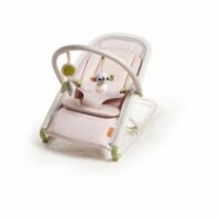 Tiny Love Tiny Love 2-in-1 Rocker