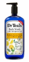 Dr Teal's® Prebiotic Lemon Balm Body Wash with Pure Epsom Salt Perspective: Main