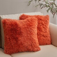 Cheer Collection Shaggy Long Hair Plush Faux Fur Accent Pillows - 20 x 20 inches - Set of 2