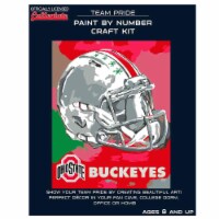 Ohio State Buckeyes Team Pride Paint by Number Craft Kit