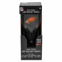 Philadelphia Eagles Team Pride LED Solar Torch