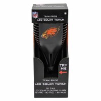 Philadelphia Eagles Team Pride LED Solar Torch