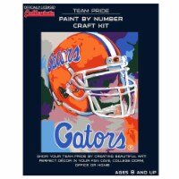 Florida Gators Team Pride Paint by Number Craft Kit