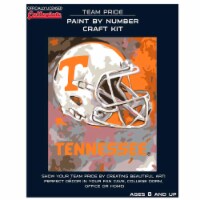 Tennessee Volunteers Team Pride Paint by Number Craft Kit