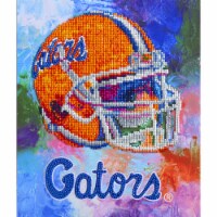 Florida Gators NFL Team Pride Diamond Painting Craft Kit