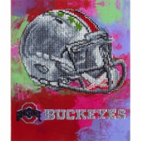 Ohio State Buckeyes NFL Team Pride Diamond Painting Craft Kit