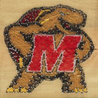 Maryland Terrapins Team Pride String Art Craft Kit