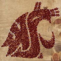 Washington State Cougars Team Pride String Art Craft Kit