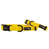 Sassy Woof Dog Collars