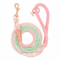 Dog Rope  Leash - Sherbet