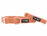 Dog Collar - Apple Cider