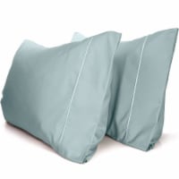 Light Teal