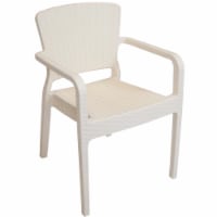 Sunnydaze Segonia Plastic Stackable Arm Chair - Cream