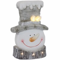 Sunnydaze Frosty Friend Indoor LED Snowman Christmas Statue - 15 In