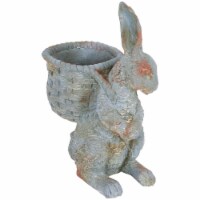 Sunnydaze Roman the Carrot Collector Indoor/Outdoor Rabbit Statue - 17 in