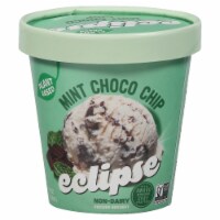 Eclipse® Mint Chip Non Dairy Frozen Dessert Perspective: Main