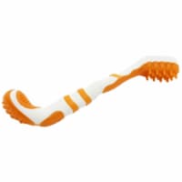 Pet Life Denta-Brush TPR Durable Tooth Brush and Dog Toy