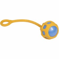 Pet Life Tug-O-Warp Fetching Tugging and Chew Squeaking TPR Dog Toy