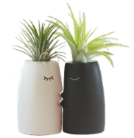 Kiss Me Potted Plant Set Perspective: Main