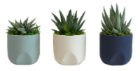 Cerulean Clouds Succulent Pot - Assorted Perspective: Main