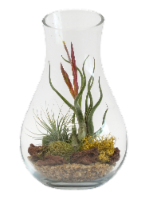 LiveTrends Metamorphosis Plant Perspective: Main